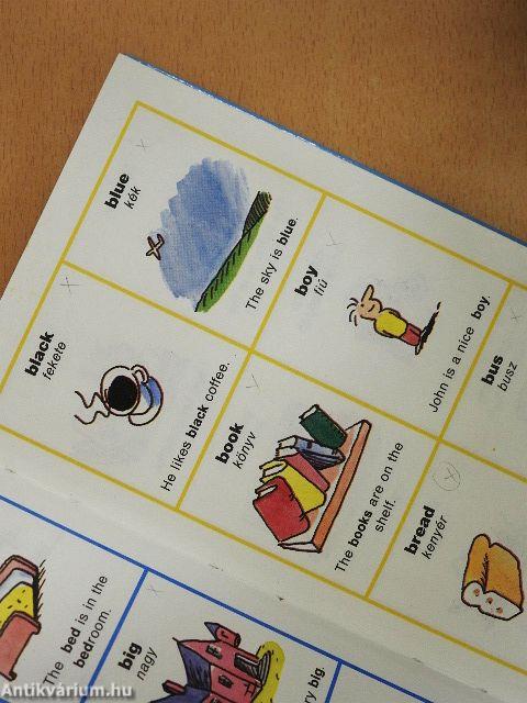 Képes angol szótár kezdőknek