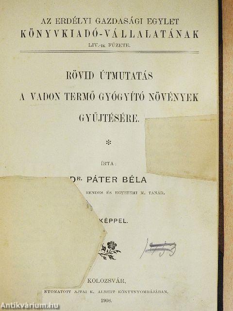 Rövid útmutatás a vadon termő gyógyító növények gyűjtésére