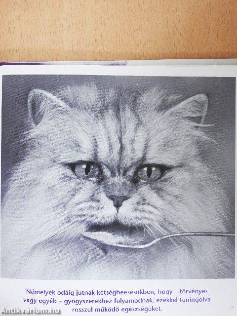 Nagyon elfoglalt emberek könyve