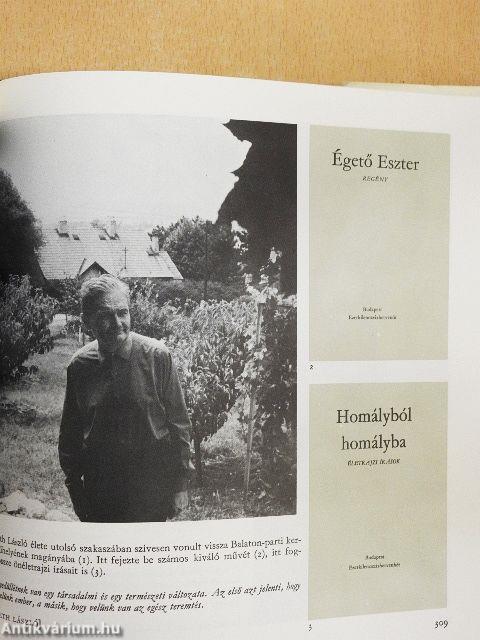 A magyar irodalom képeskönyve