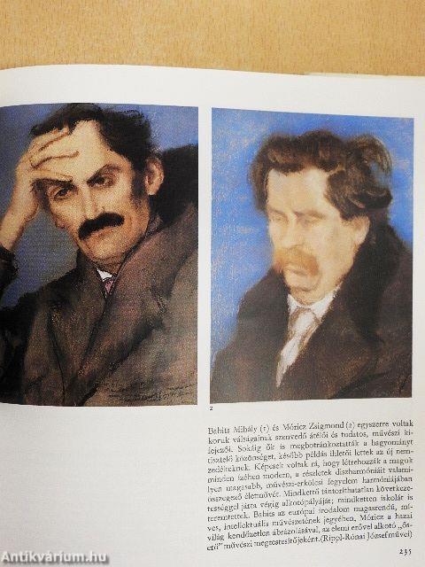 A magyar irodalom képeskönyve