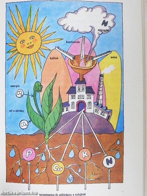 Miből készül, hogyan készül?