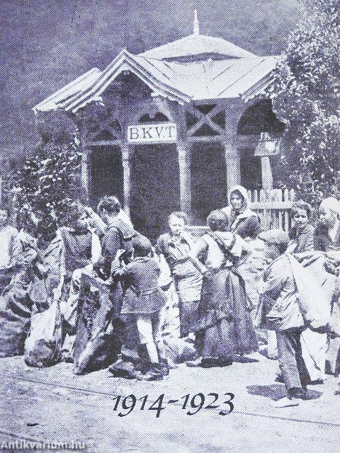 Kosztolányival a villamoson