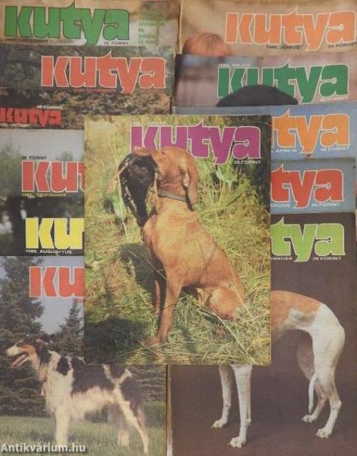 Kutya 1986. január-december