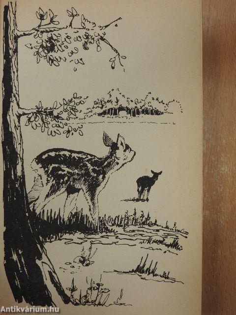 Bambi/Perri/Hops und ihre Freunde