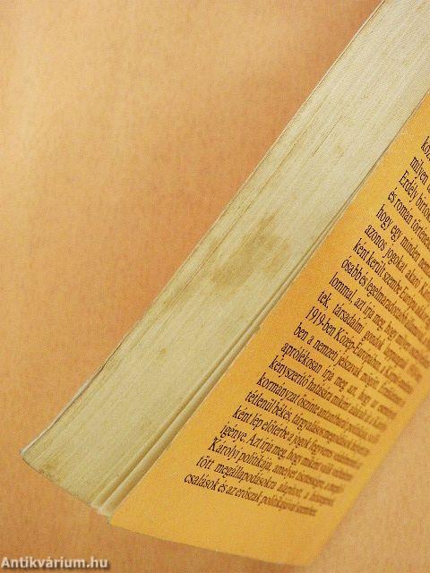 Erdély 1918-1919-ben