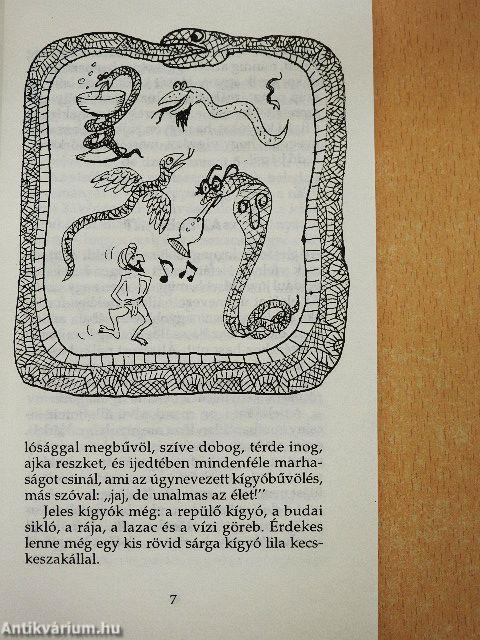 Képtelen természetrajz