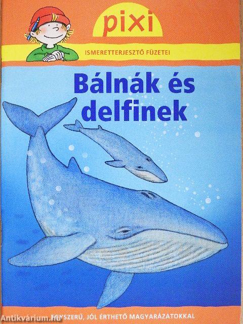 Bálnák és delfinek