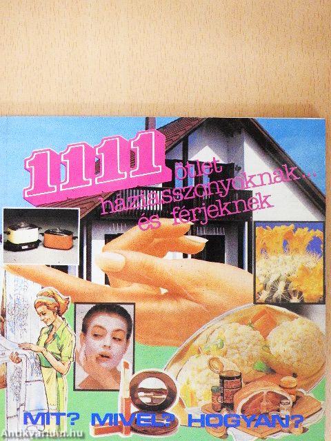 1111 ötlet háziasszonyoknak és férjeknek