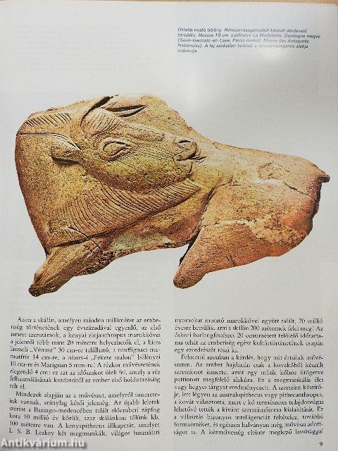 A művészet kezdetei