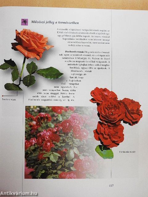 Varázslatos virágok