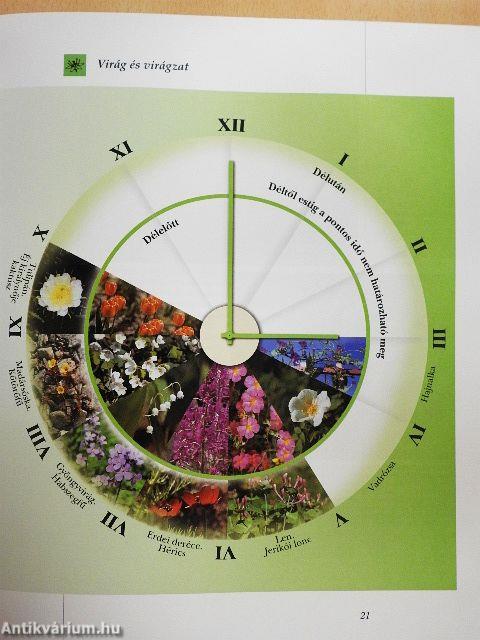 Varázslatos virágok