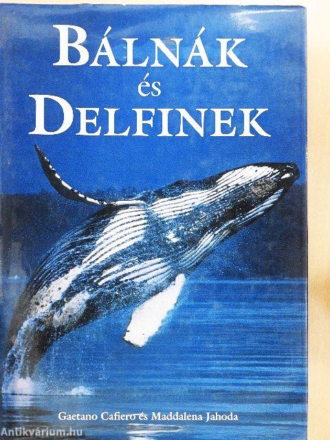 Bálnák és delfinek