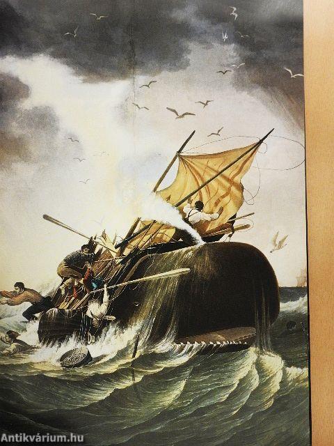 Bálnák és delfinek