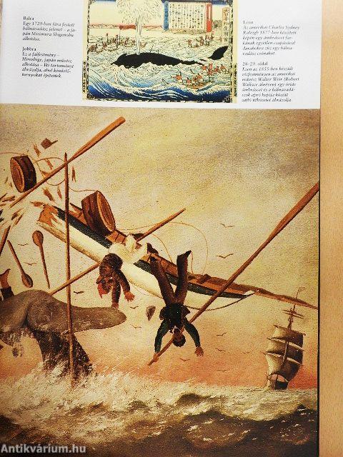 Bálnák és delfinek