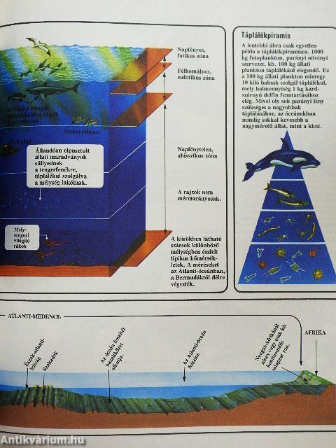 A tudomány nagy enciklopédiája