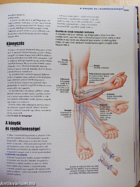 Családi orvosi kalauz