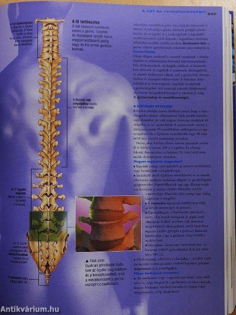 Családi orvosi kalauz