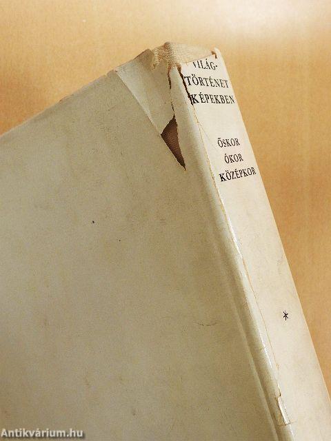 Világtörténet képekben I.