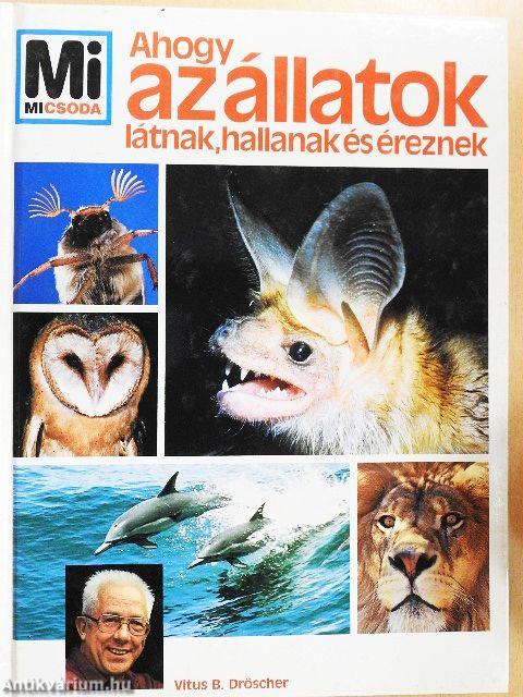 Ahogy az állatok látnak, hallanak és éreznek