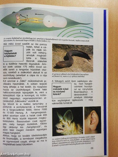 Ahogy az állatok látnak, hallanak és éreznek