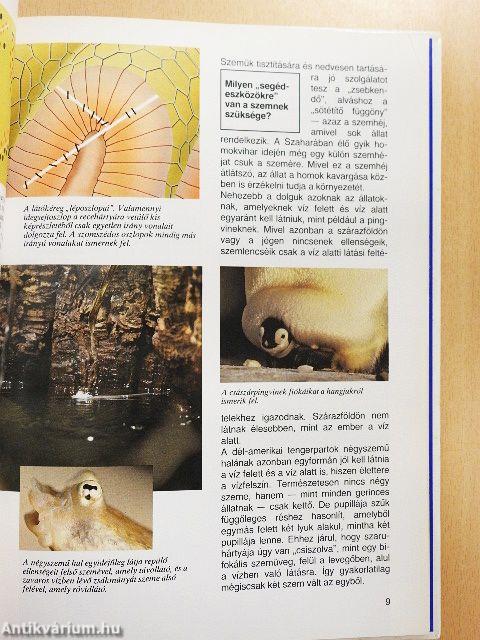 Ahogy az állatok látnak, hallanak és éreznek