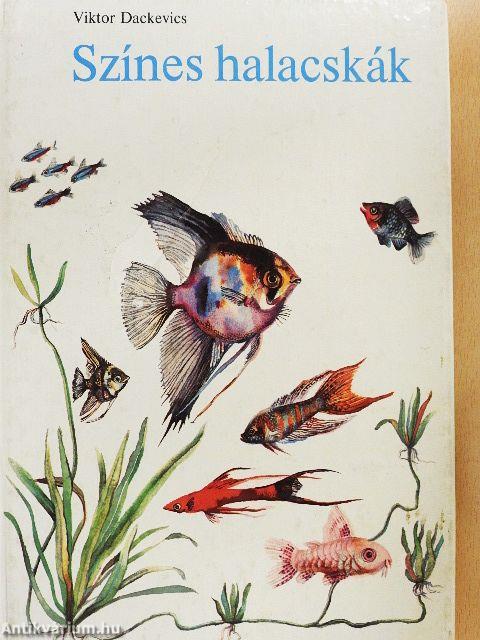 Színes halacskák