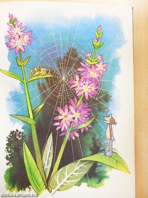 Micsoda pók a Vízipók!