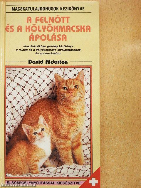 A felnőtt és a kölyökmacska ápolása