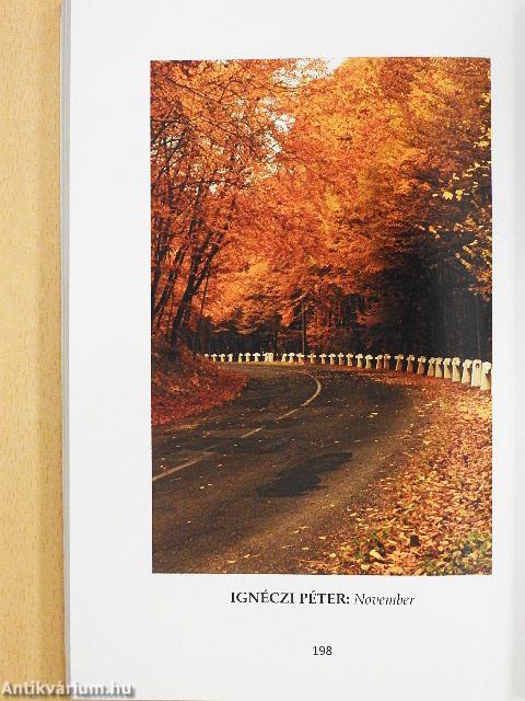 A palack (kor) szelleme