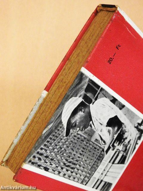 Kelet-Afrika a szabadság útján