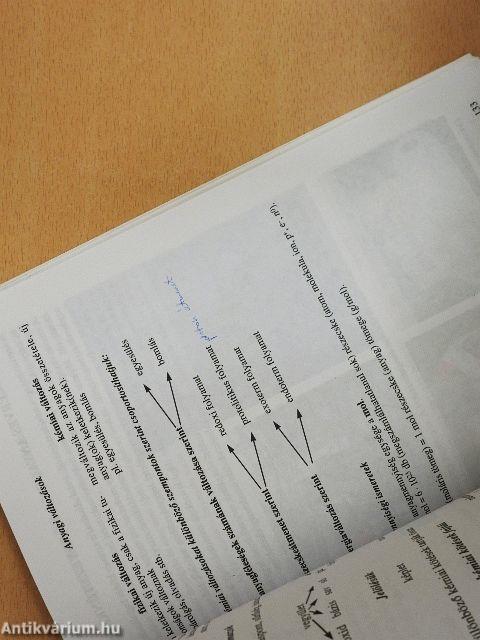 Kémia 12-14 éveseknek