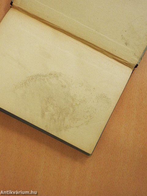 Nagy magyarok élete IV.