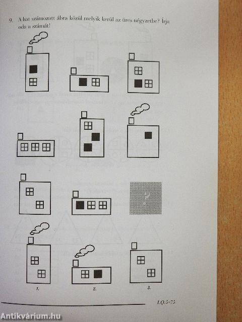 Intelligencia teszt I. Q.