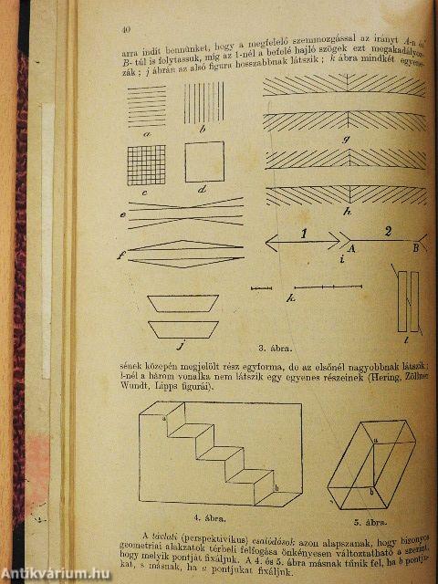 A pszichológia és logika elemei
