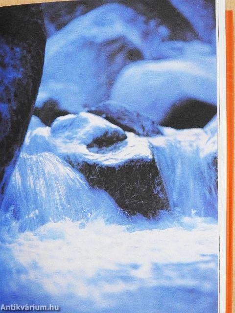 Live Better: Tai Chi