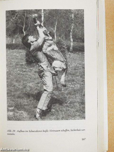 Der neue Weg der Hundeausbildung