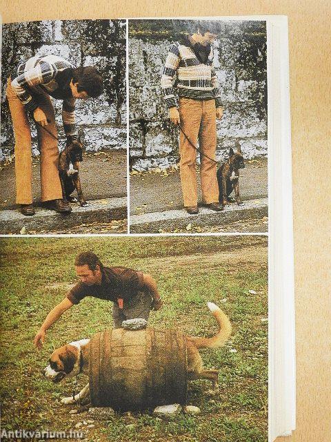 Der neue Weg der Hundeausbildung