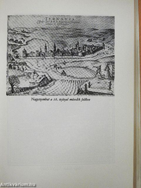 Egy könyvtár hétköznapjai