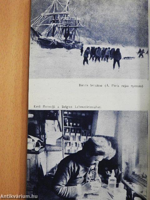 Túl a déli sarkkörön