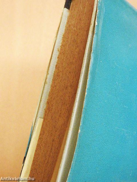 Latin-Amerika harcba indul