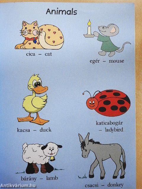 Első 100 szavam angolul