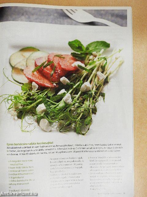 Stahl Magazin 2012. tavasz-tél