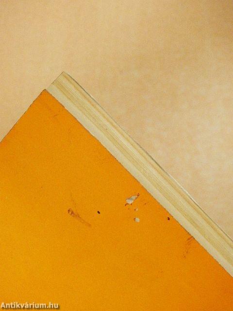 Magnósok évkönyve 1981