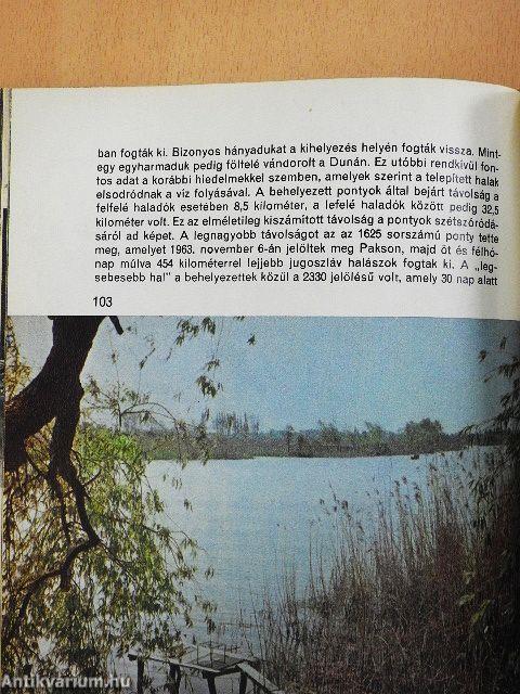 Horgászösvényeken