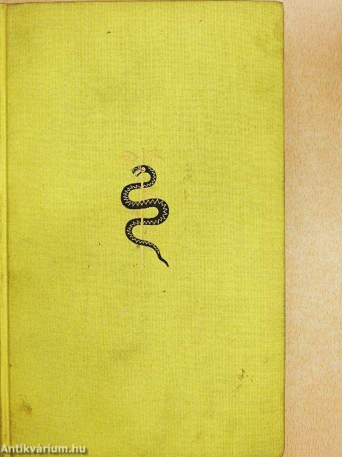 Die Heilung durch den Geist