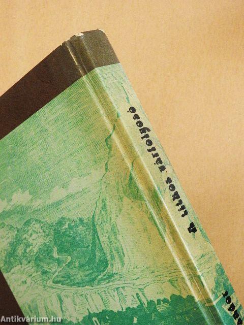 A titkos várfolyosó