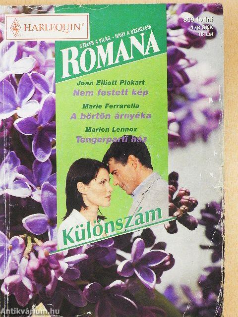 Nem festett kép/A börtön árnyéka/Tengerparti ház