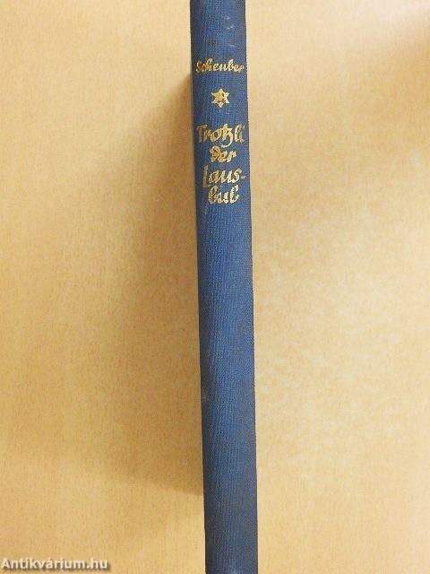 Trotzli, der Lausbub