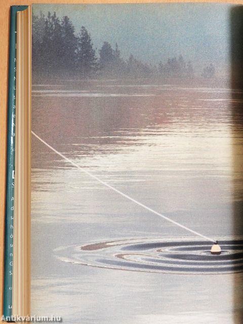 Tizedmásodperc/Diplomás konyhatündér/Veszélyességi pótlék/A Fény völgye